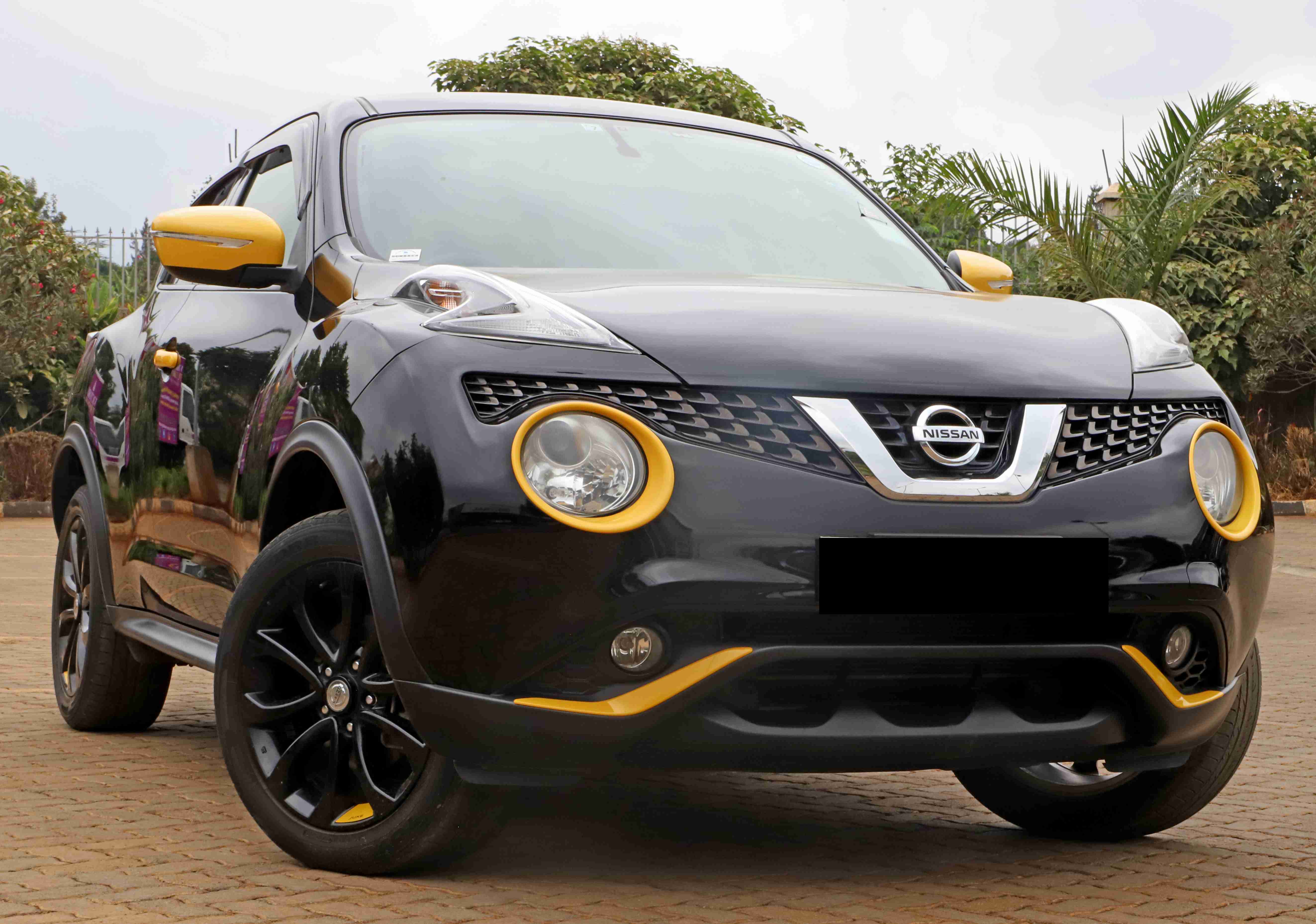 2014 Nissan Juke